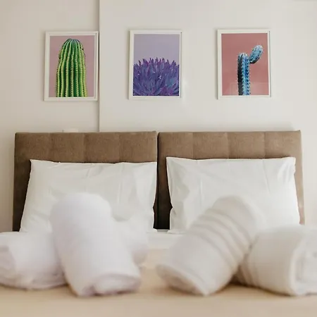 Cactus - Blooming Garden