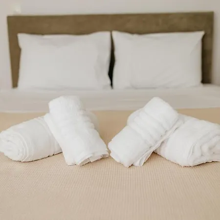 Cactus - Blooming Garden *