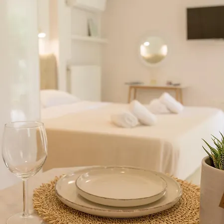 Cactus - Blooming Garden *