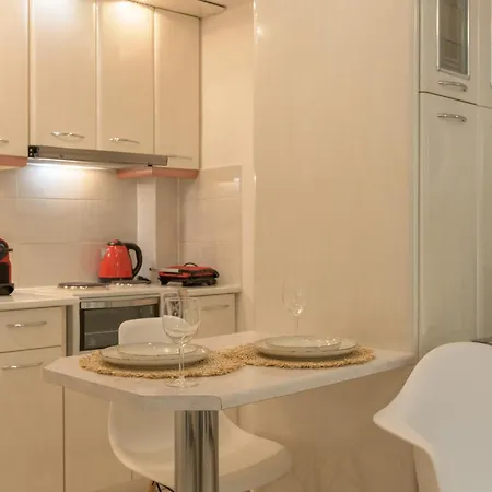 Cactus - Blooming Garden *