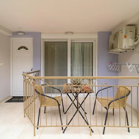 Cactus - Blooming Garden Calamata