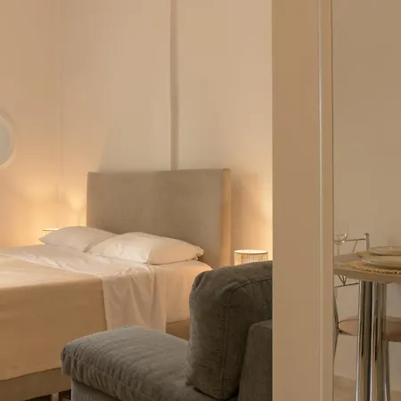 Cactus - Blooming Garden