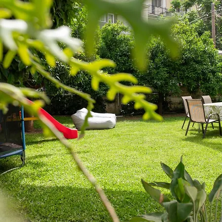 Cactus - Blooming Garden Calamata