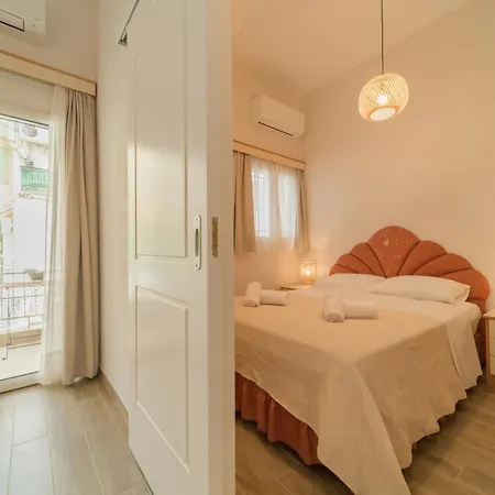 Cactus - Blooming Garden *