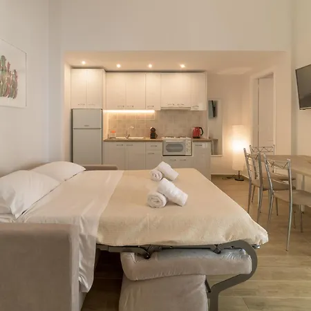 Cactus - Blooming Garden * Calamata