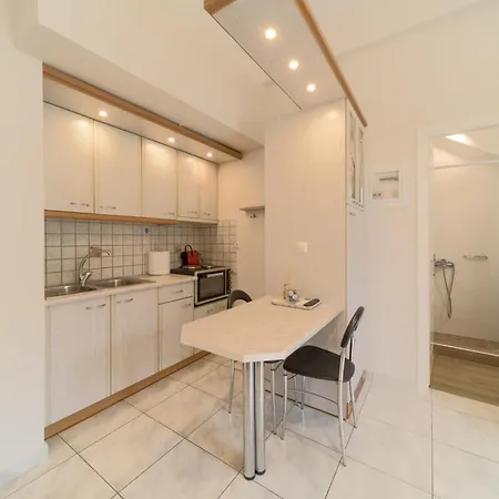 Cactus - Blooming Garden