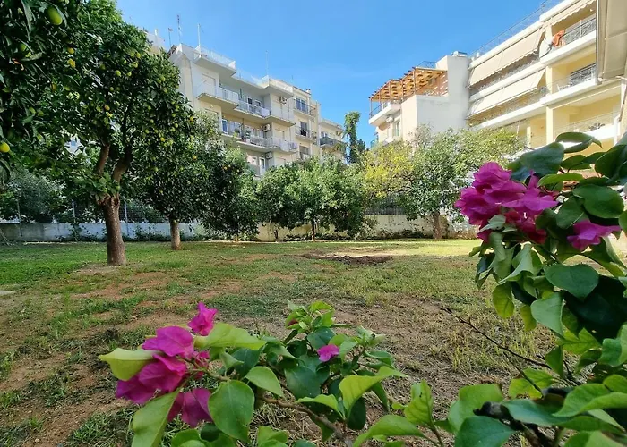 Cactus - Blooming Garden