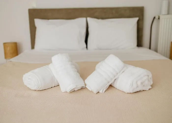 Cactus - Blooming Garden *