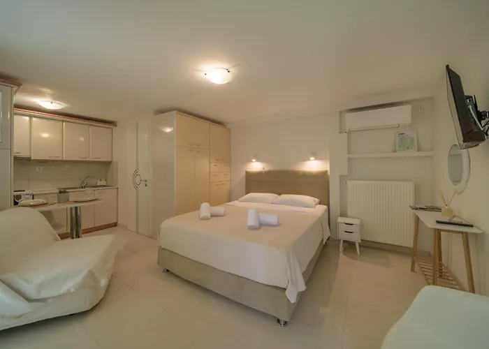 Cactus - Blooming Garden Kalamata