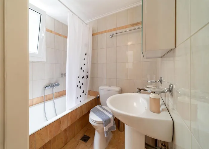 Cactus - Blooming Garden