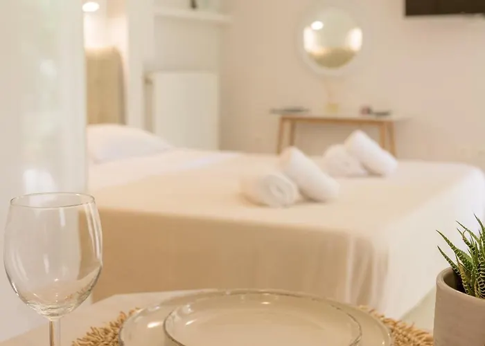 Cactus - Blooming Garden *