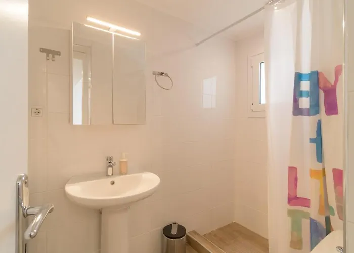 Cactus - Blooming Garden *