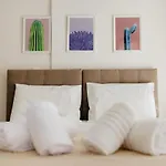 Cactus - Blooming Garden