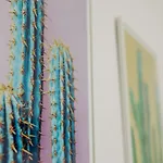 Apartment Cactus - Blooming Garden