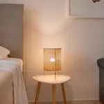 Apartment Cactus - Blooming Garden *