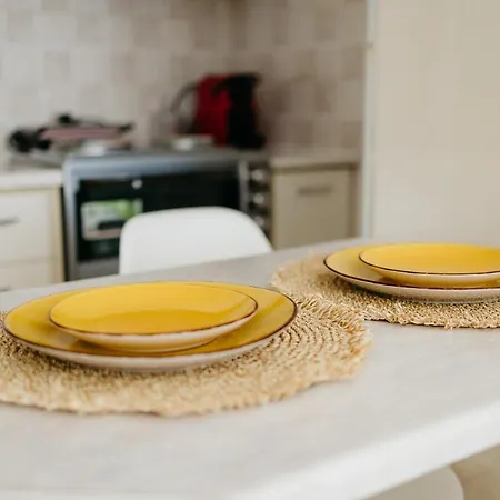 Cactus - Blooming Garden