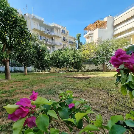 Cactus - Blooming Garden