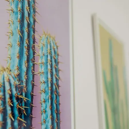Apartment Cactus - Blooming Garden