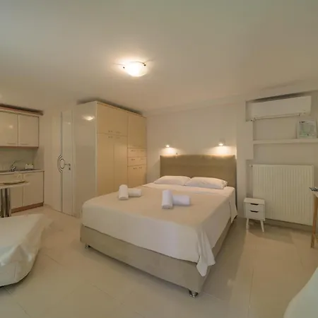 Cactus - Blooming Garden Kalamata