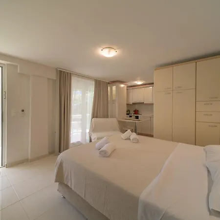 Cactus - Blooming Garden Kalamata