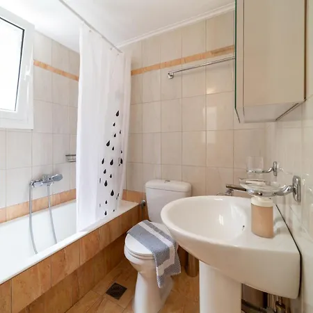 Cactus - Blooming Garden