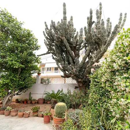 Apartment Cactus - Blooming Garden Kalamata