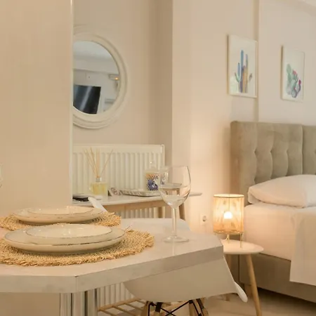 Cactus - Blooming Garden