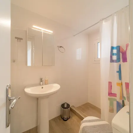 Cactus - Blooming Garden *