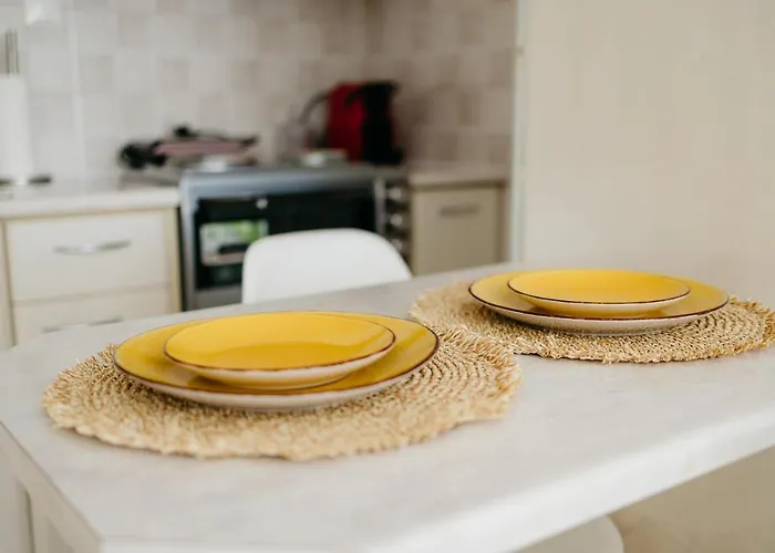 Cactus - Blooming Garden