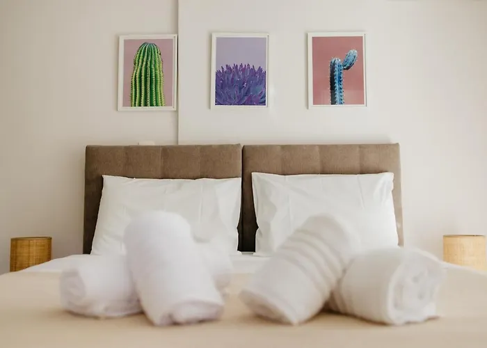 Cactus - Blooming Garden