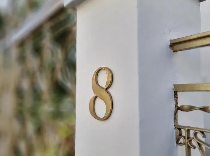 Cactus - Blooming Garden