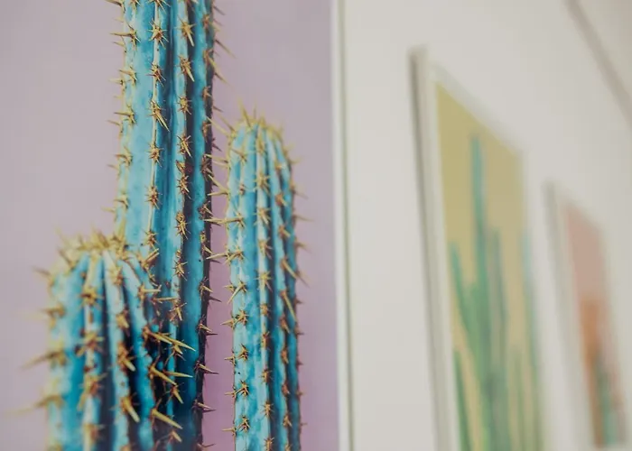 아파트 Cactus - Blooming Garden