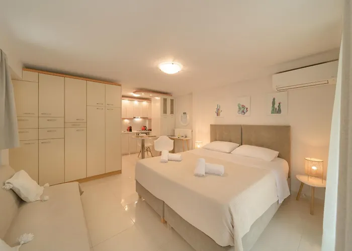 Cactus - Blooming Garden 아파트 칼라마타