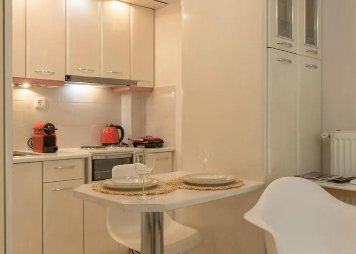 Cactus - Blooming Garden *