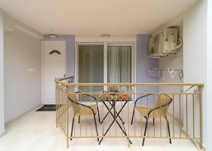 Cactus - Blooming Garden 칼라마타