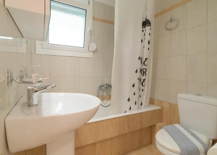 Cactus - Blooming Garden * 칼라마타