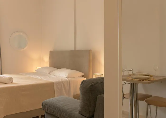 Cactus - Blooming Garden