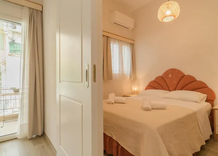 Cactus - Blooming Garden *