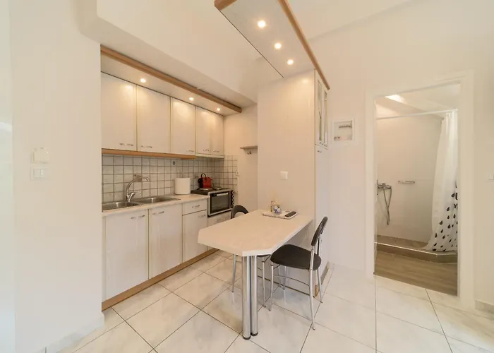 Cactus - Blooming Garden